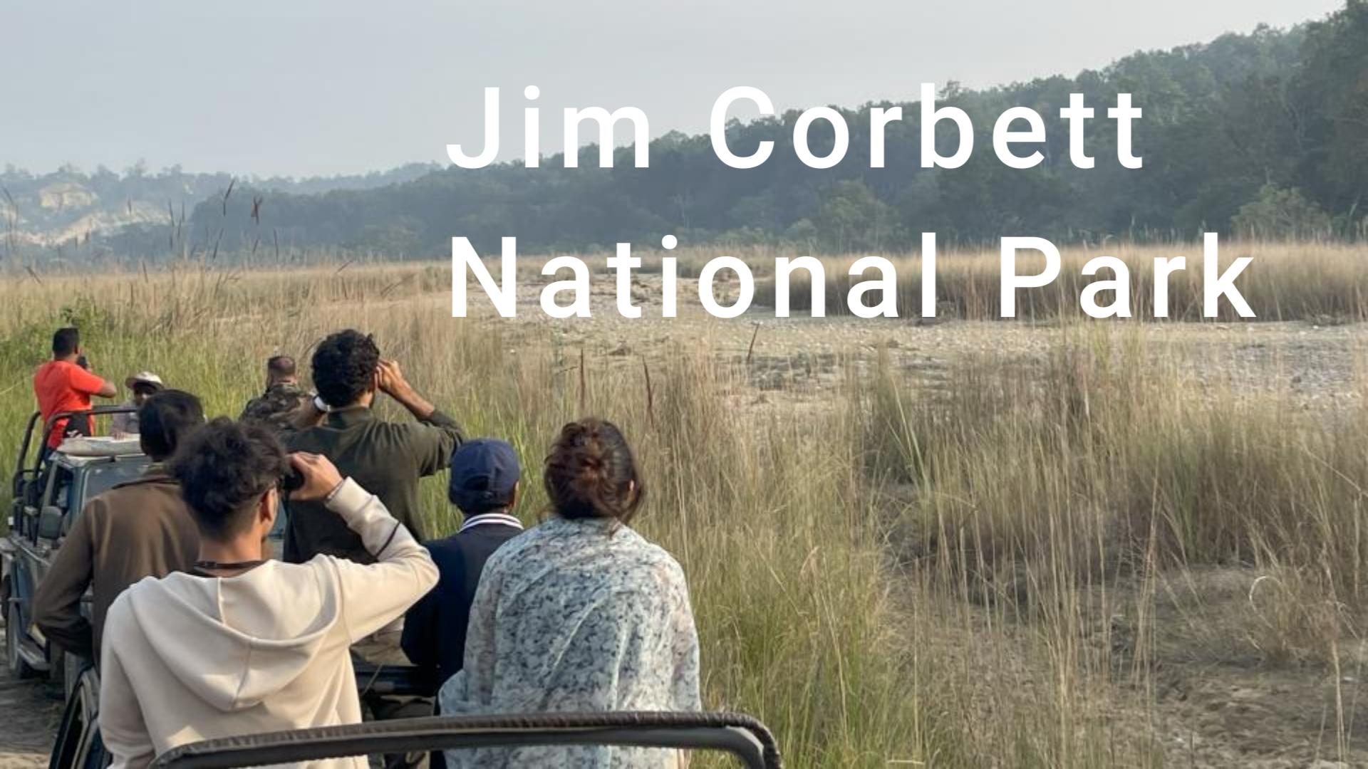 Into the Wilderness: A Safari Adventure at Jim Corbett National Park